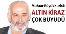 Büyükbudak: Altın Kiraz çok büyüdü