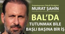 Murat Şahin: BAL’da tutunmak bile başlı başına bir iş