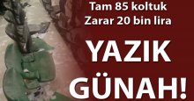 85 koltuk! Zarar 20 bin lira!