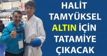 Halit Tamyüksel altın için tatamiye çıkacak!