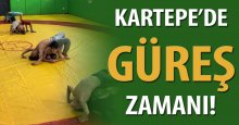 Kartepe’de güreş seviliyor
