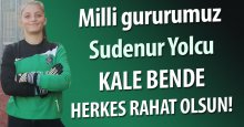 Kale bende… Herkes rahat olsun
