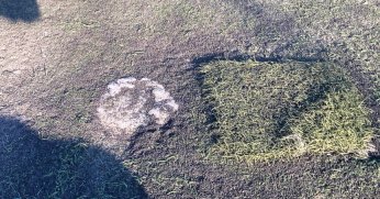 Hereke Stadı’nda futbol oynatan GÜNAH işler!  