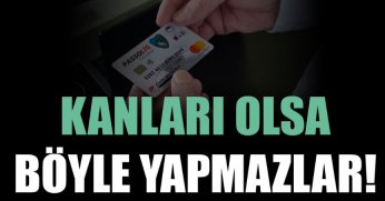 Kanları olsa böyle yapmazlar!