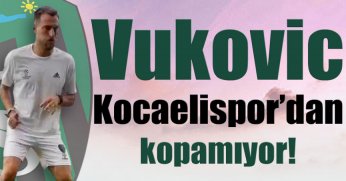 Vukovic, Kocaelispor’dan kopamıyor!