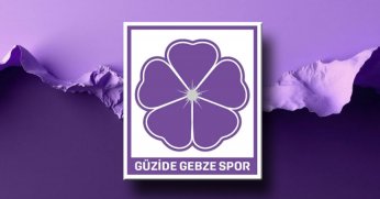 PFDK’dan Güzide Gebze’ye para cezası!