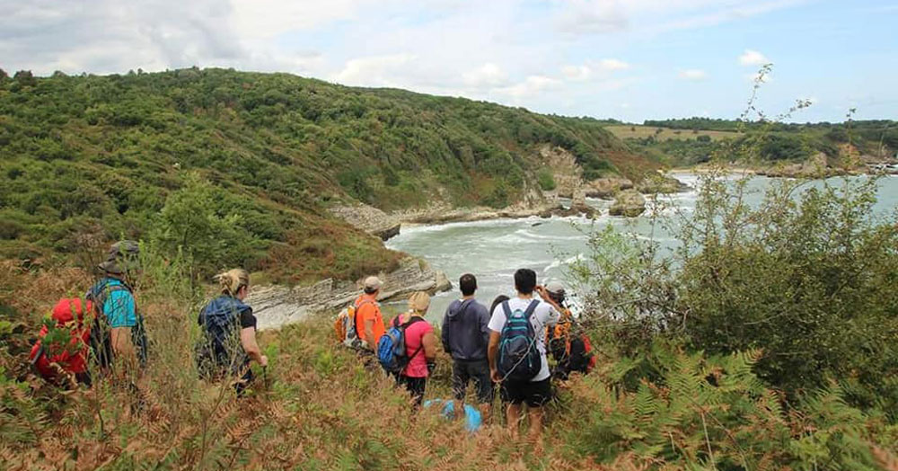 Nikomedia hem yürüyecek hem de yüzecek