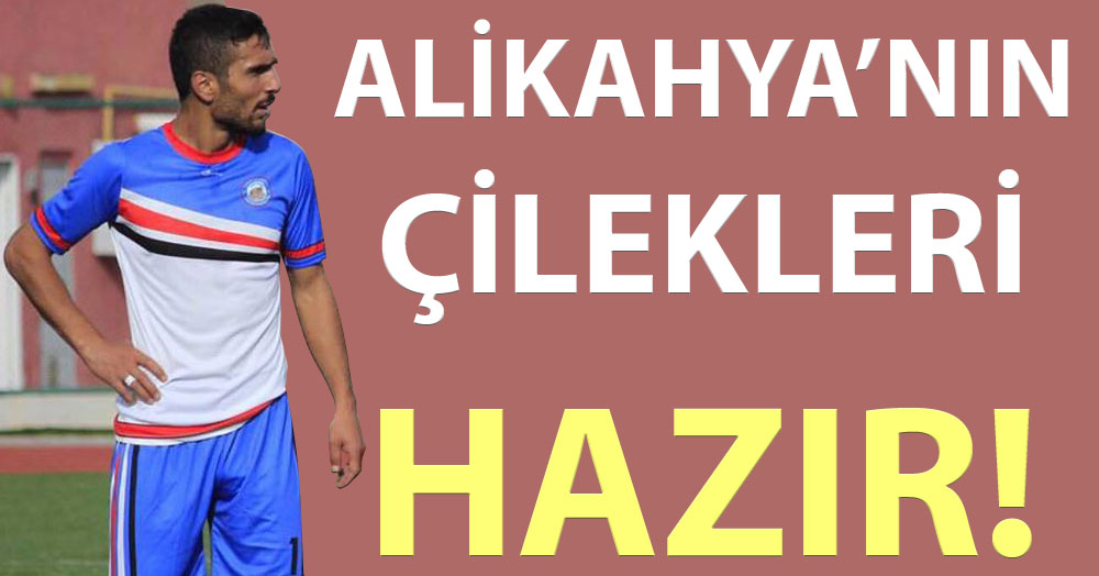 Alikahya’nın çilekleri geldi!