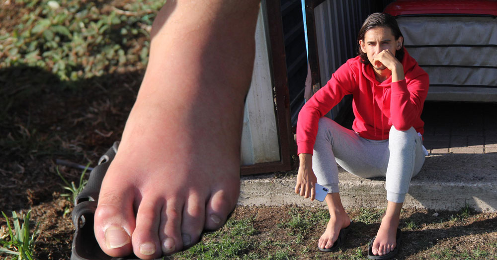 Kerem'in talihsizliği... Eşşoleşşek! 