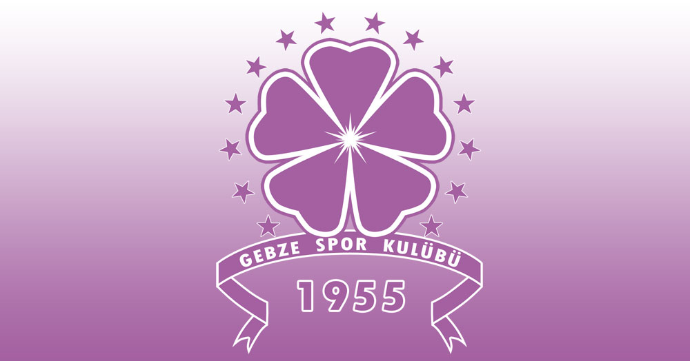 Gebzespor’a para cezası