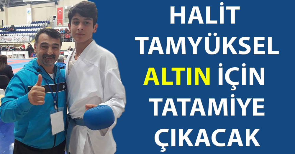 Halit Tamyüksel altın için tatamiye çıkacak!