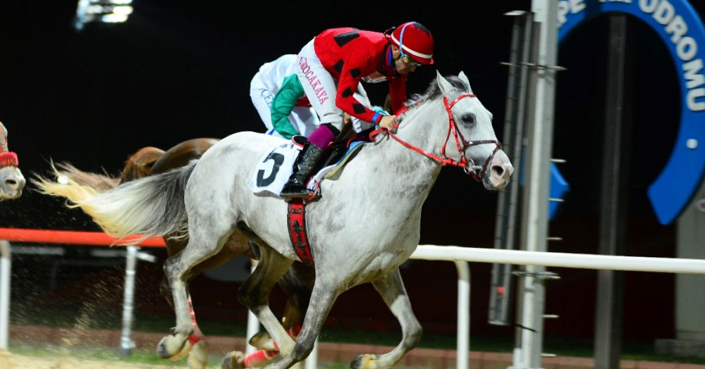 Valilik Kupası Tarıkhan’ın!