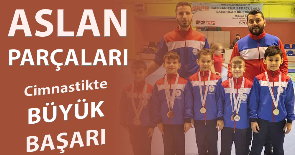 Aslan parçaları!