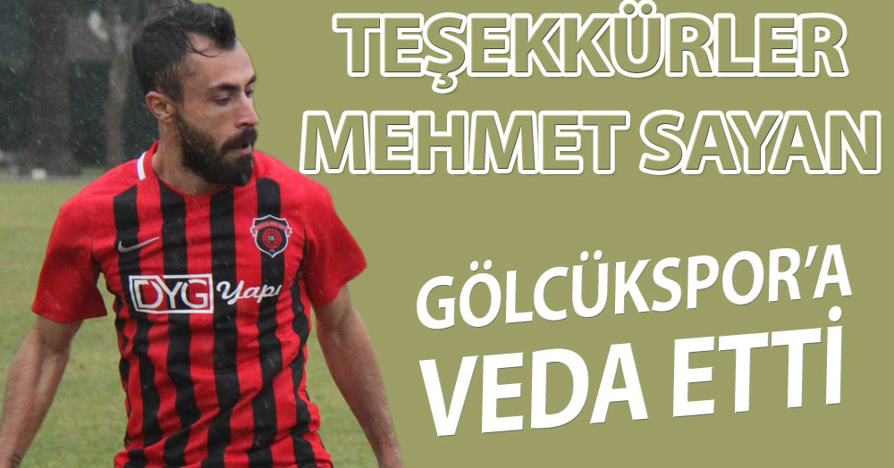 Teşekkürler Mehmet Sayan!