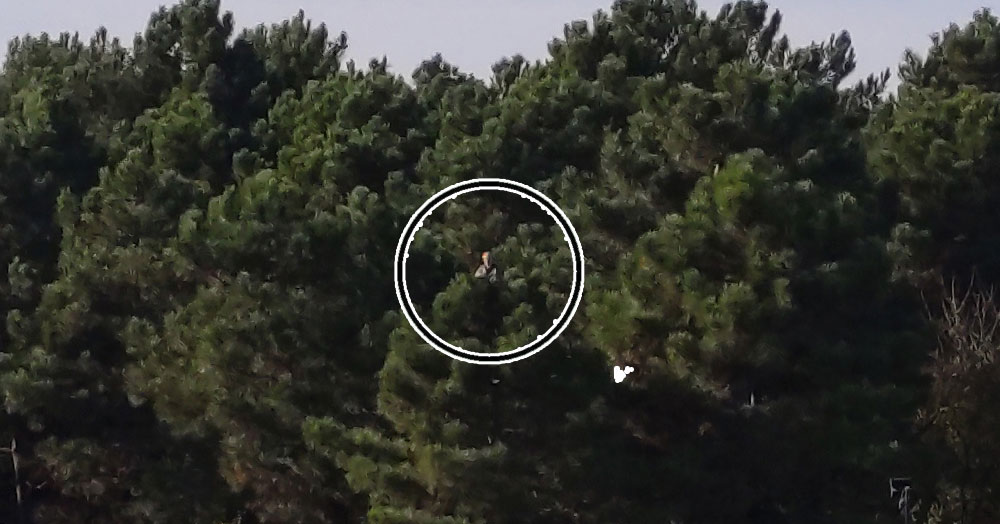 Muhammed amcanın HAKLI isyanı!