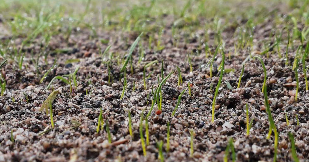 Bozuk zeminin nedeni: Olumsuz hava koşulları!