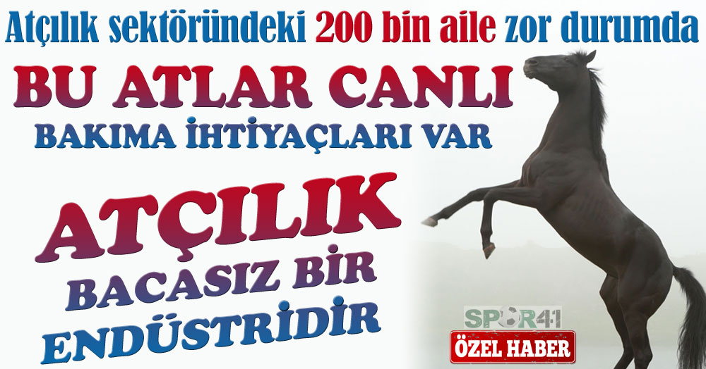 Ali Yıldırım: Atçılık sektöründeki 200 bin aile zor durumda