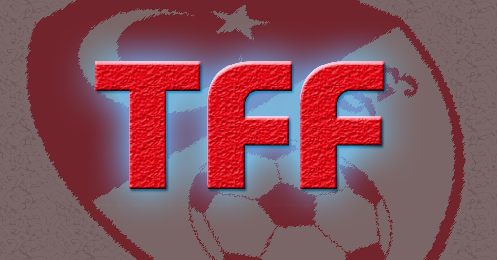 Profesyonel liglerde play-off tarihleri belli oldu  