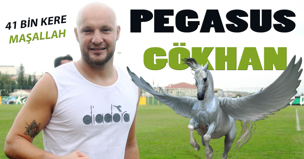 Pegasus Gökhan! 