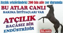 Ali Yıldırım: Atçılık sektöründeki 200 bin aile zor durumda