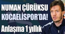 Numan Çürüksu 1 yıllığına Kocaelispor’da!