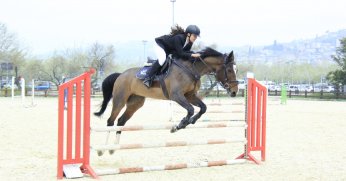 At üzerinde hünerlerini sergilediler