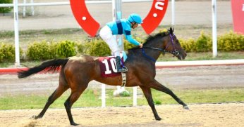 Leyla Atakan Koşusu'nda şampiyon Magic Flute!